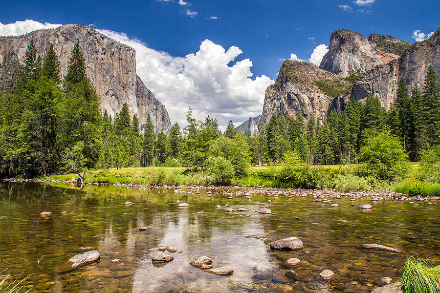 Parques Nacionales Que Debe Visitar Cuando Venga A California, Abogados de Accidentes Ahora