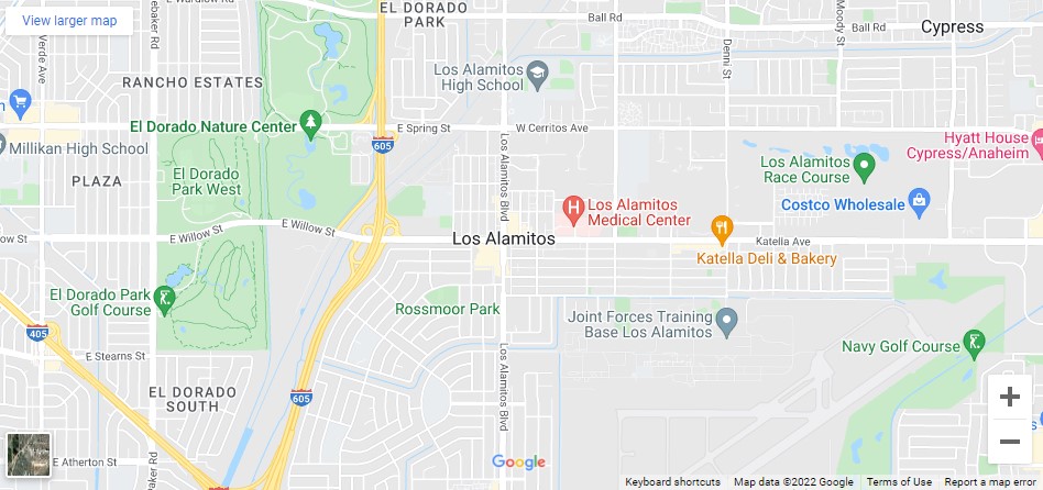 Un hombre y un perro mueren en un accidente de auto en Katella Ave [Los Alamitos, CA], Abogados de Accidentes Ahora