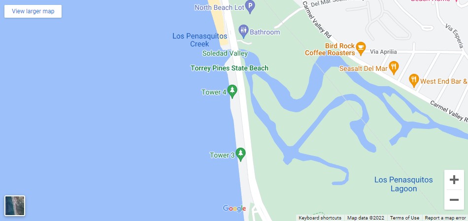 2 muertos en accidentes de auto en la playa estatal de Torrey Pines [La Jolla, CA], Abogados de Accidentes Ahora
