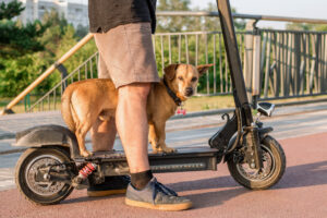 5 cosas que debes saber sobre las bicicletas y scooters eléctricos en Huntington Park, Abogados de Accidentes Ahora
